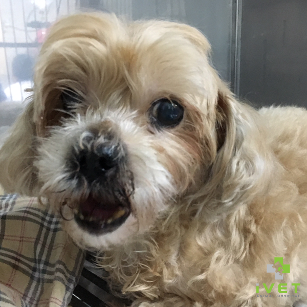 ตับอ่อนอักเสบ... ภัยเงียบที่แสนทรมาน ตับอ่อนอักเสบ... ภัยเงียบที่แสนทรมาน